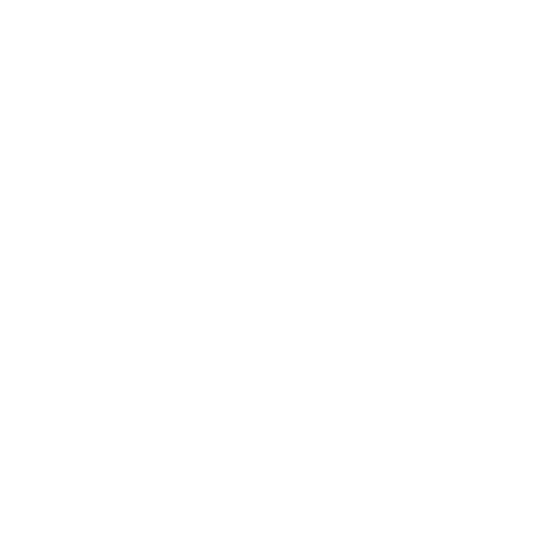 HarrySlipper